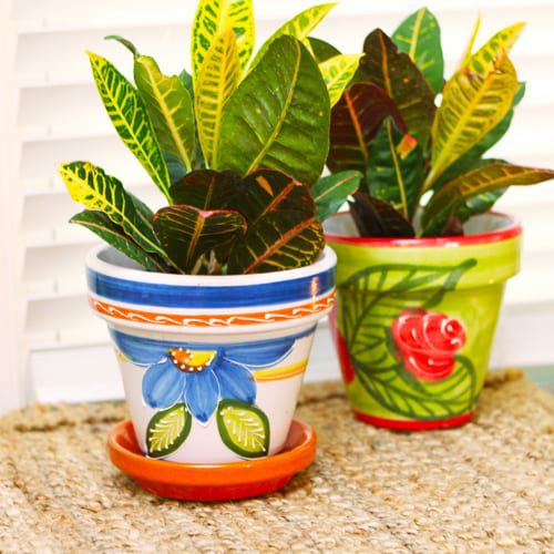 petra croton design ideas