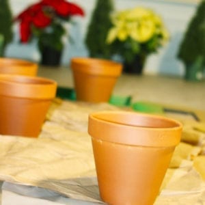 terra cotta pottery