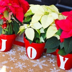 joy pottery