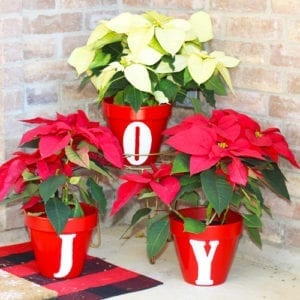 joy pottery with poinsettias