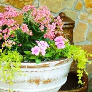 color of the year container garden
