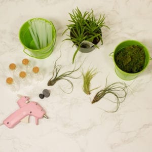 supplies