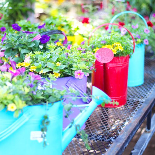 pre-made container creations