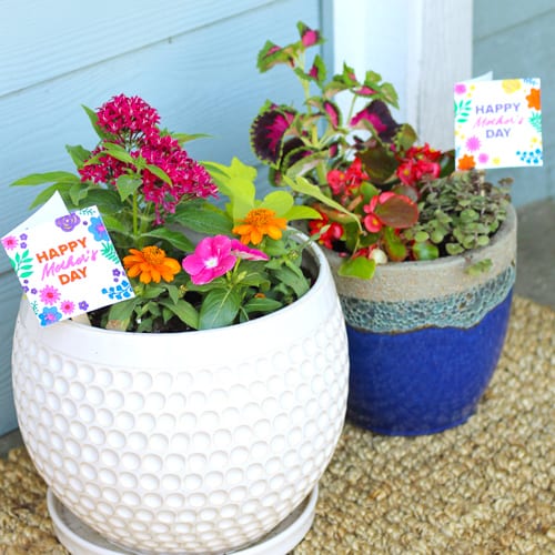 container garden ideas
