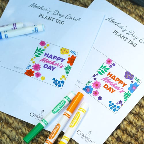 mother's day plant tag
