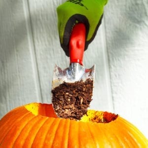 potting soil