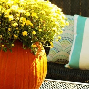 mum pumpkin