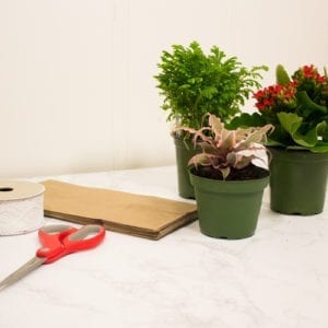 brown bag planters