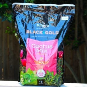 black gold cactus mix