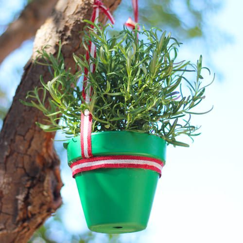 herb ornament