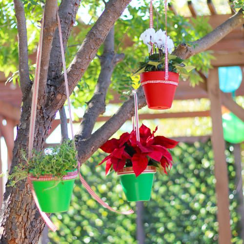 mini potted plant ornaments