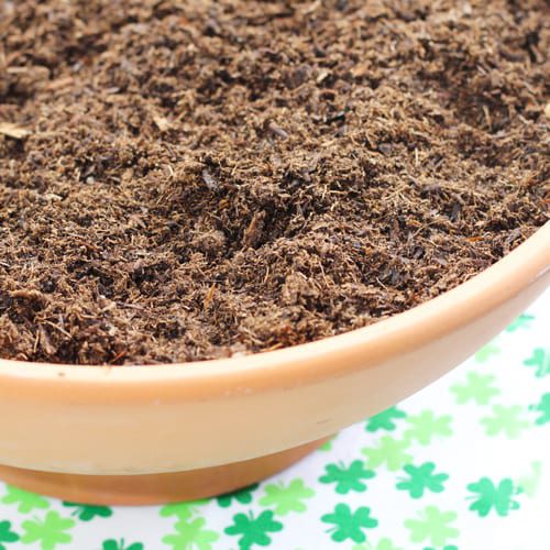 potting soil