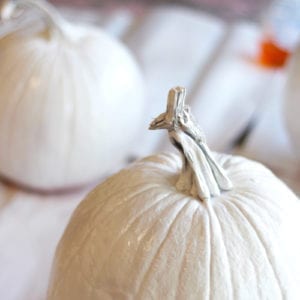 cover pumpkin in white spray paint