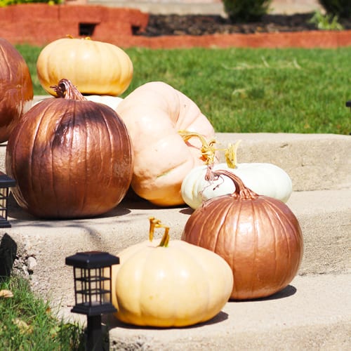 Stacking Pumpkins on Stairs for Fall Pumpkin Decoration | Calloway’s Nursery 