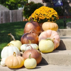complete copper pumpkin display
