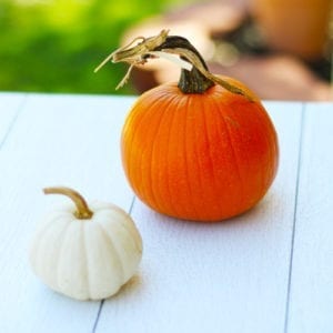 orange pie pumpkin and white mini pumpkin