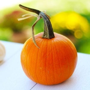orange pie pumpkin