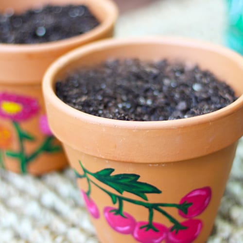 add potting soil