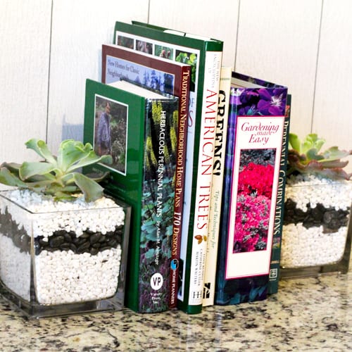 succulent bookend ideas