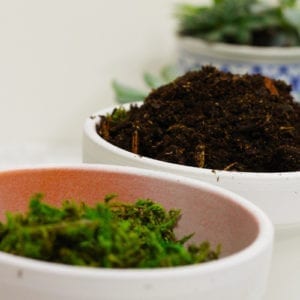 soil