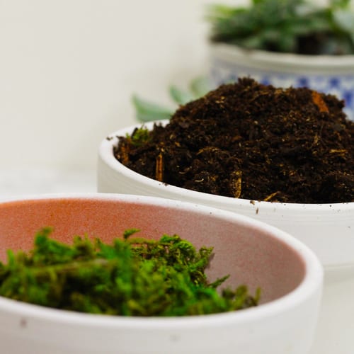 soil
