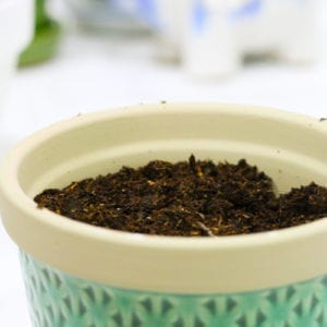 planting