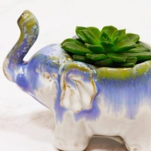 cute pottery