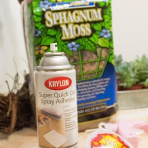 sphagnum moss