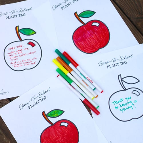 colored back to school plant tags