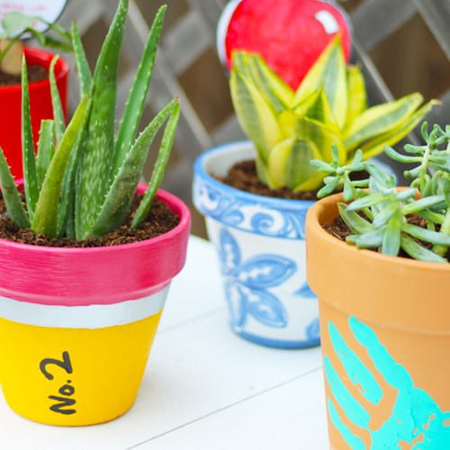 indoor plants and teacher gift ideas