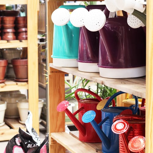 Watering Cans for Texas Winter Garden | Calloway's Nursery