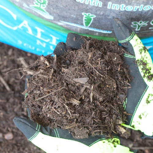 Calloway’s Premium Organic Hardwood Mulch | Calloway's Nursery