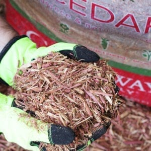 holding cedar mulch