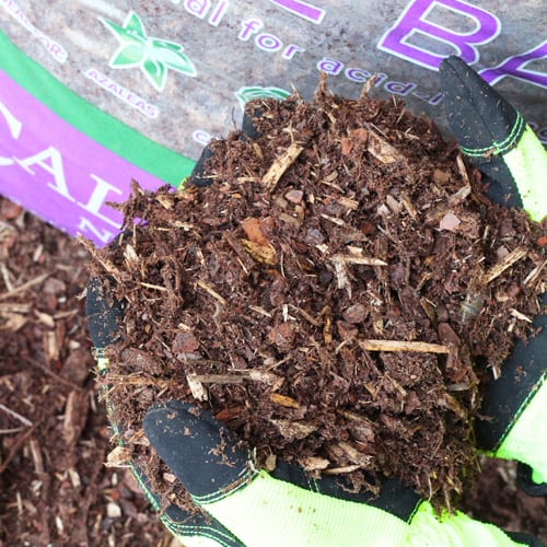 Calloway’s Premium Organic Pine Bark Mulch | Calloway's Nursery