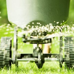 spreading fertilizer