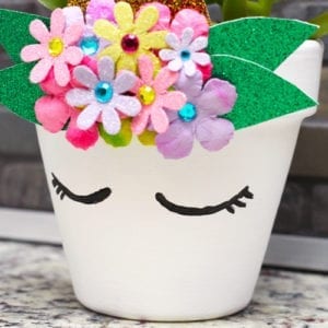 unicorn face