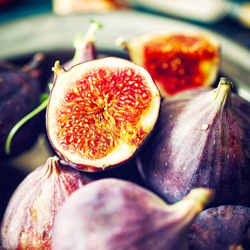 growing figs