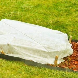 flowerbeds