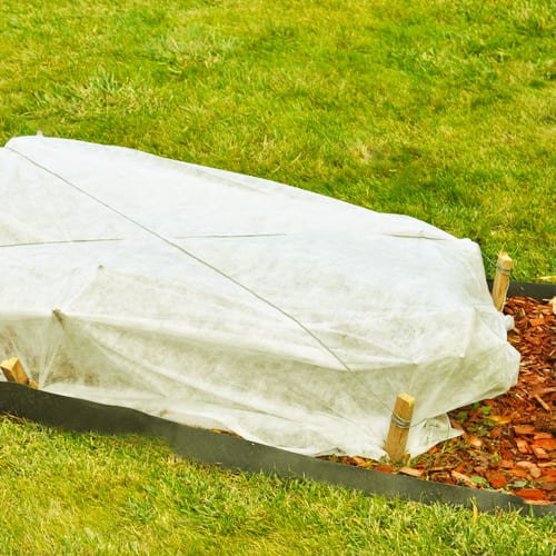 flowerbeds