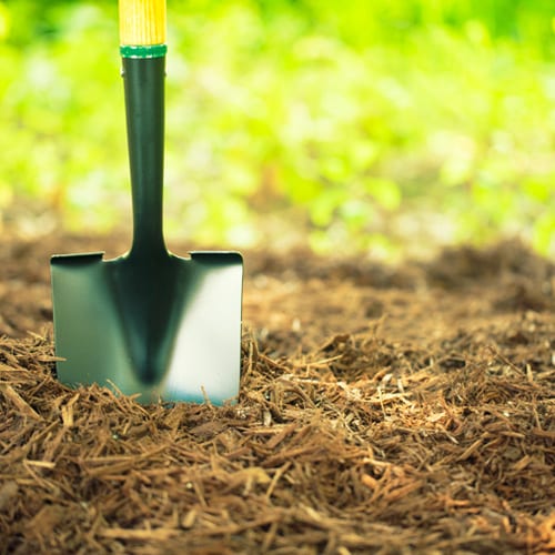 add mulch