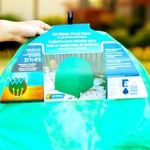 protective cover