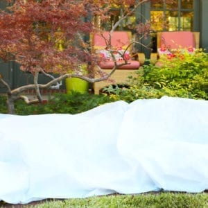 frost blanket