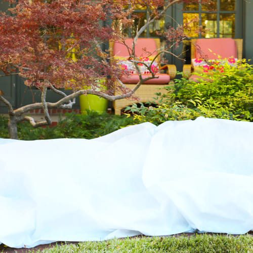 frost blanket
