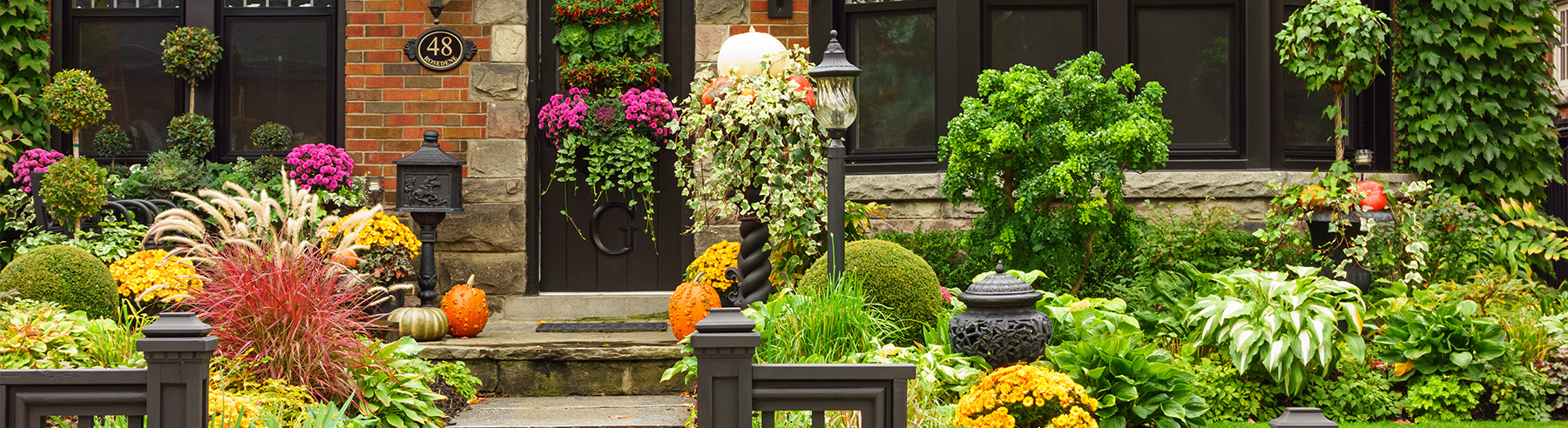 Houston & Galveston Landscaping