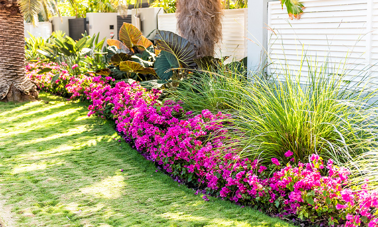 Houston & Galveston Landscaping