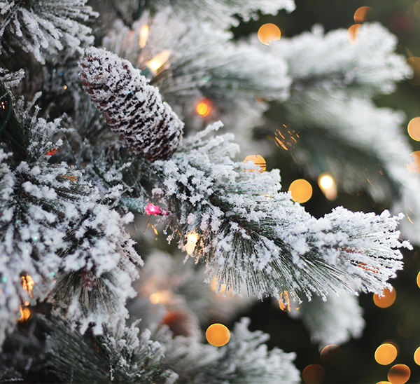 Life-Like Christmas Trees 