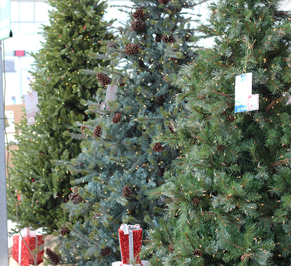 Life-Like Christmas Trees 