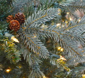 Life-Like Christmas Trees in Dallas, Fort Worth & Houson