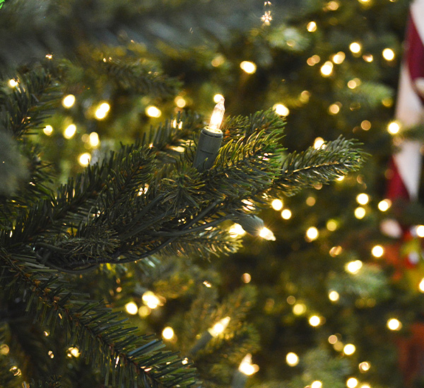Life-Like Christmas Trees 