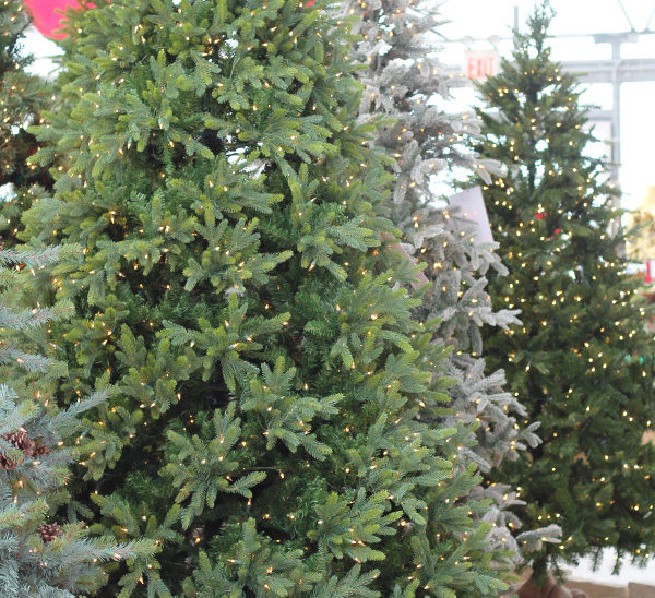 Life-Like Christmas Trees 